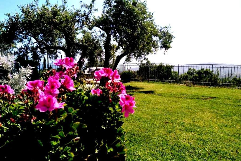 Вилла Casa Vista Mare - Superb Garden And Parking Included Империя Экстерьер фото